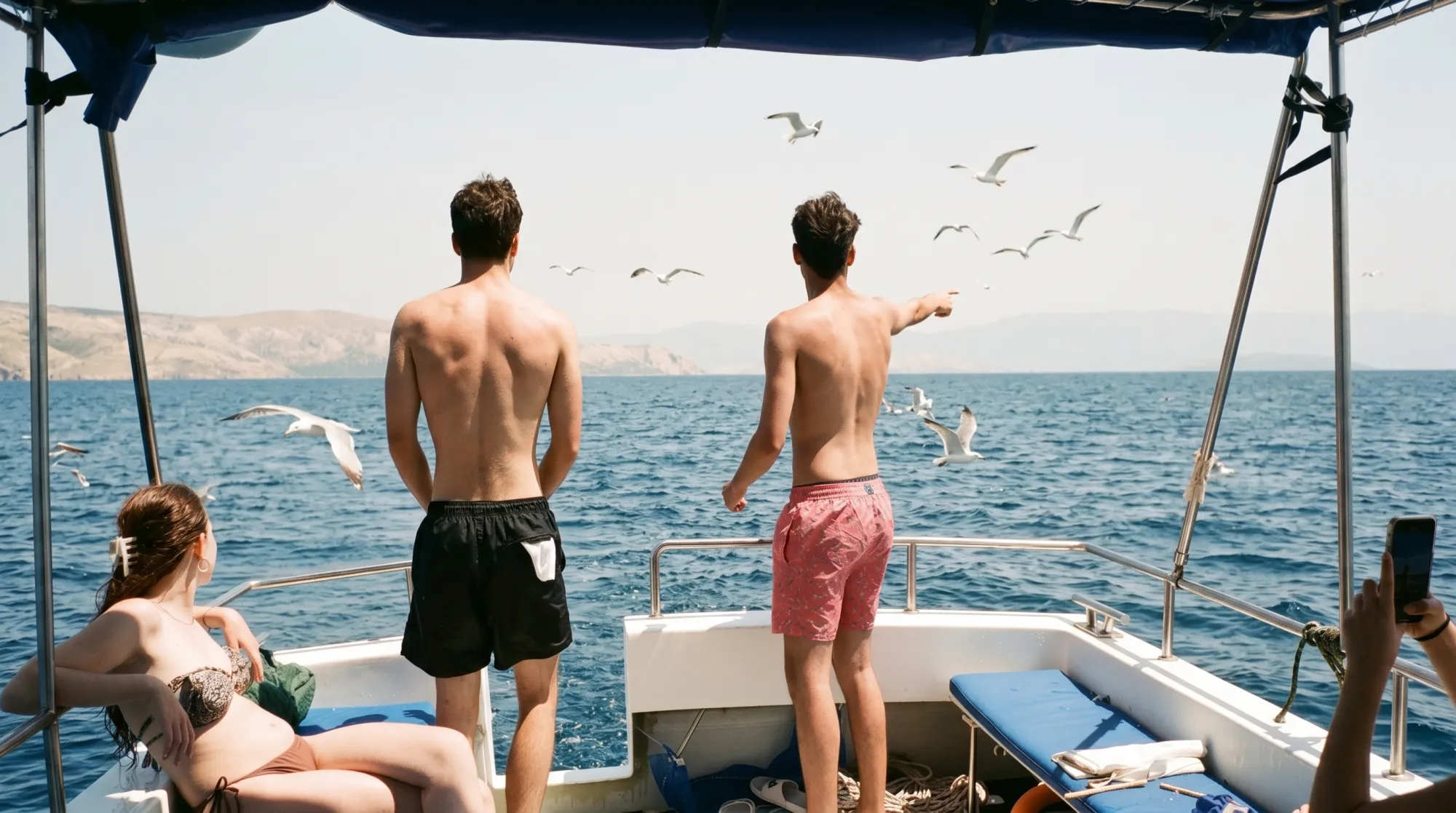 Guests watching seagulls from the boat near Kormati